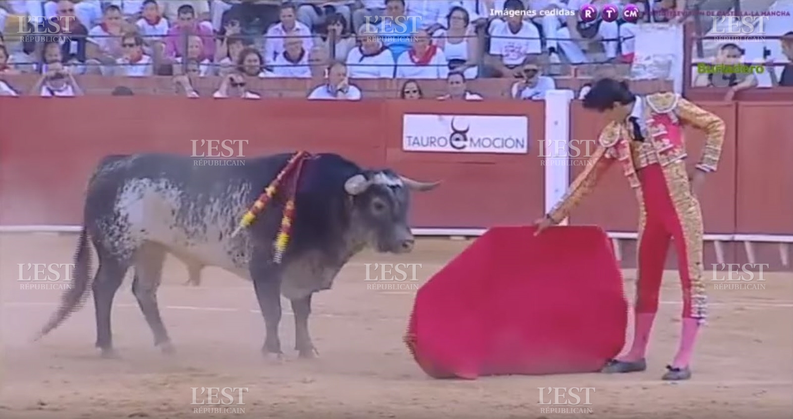 Vidéo: En plein spectacle, ce jeune torero meurt encorné par un taureau!