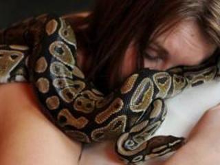 Cette femme dormait avec un python qui se préparait à la dévorer !