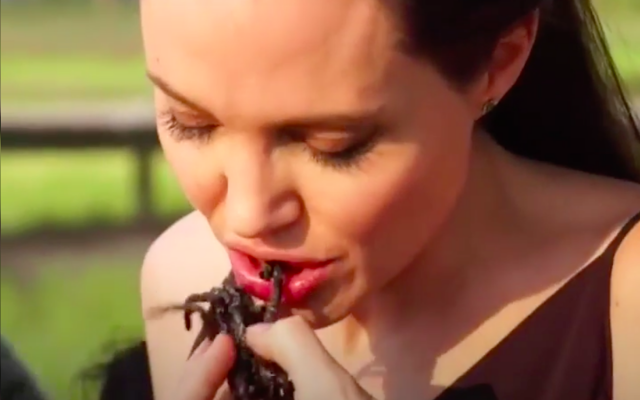 Angelina Jolie: elle cuisine des mygales en famille… OMG! (Vidéo)