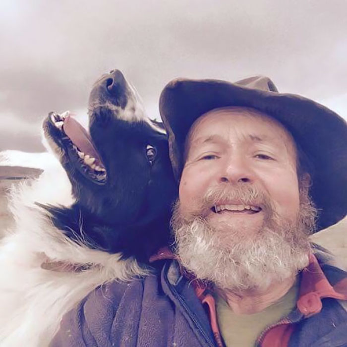 Cet homme prend avec ses chiens et ses moutons les selfies les plus mignons