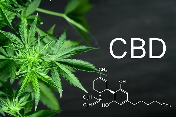 Le cannabidiol (cannabis légal CBD): Comment est-il fait ?