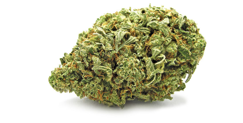 CBD cannabis légal